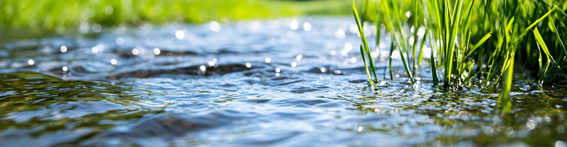 Agua e recursos marinhos RAR