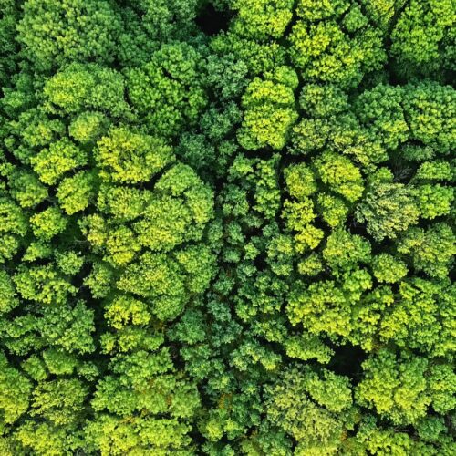 Alterações Climáticas